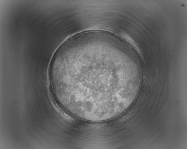 X0000073410892200608181052