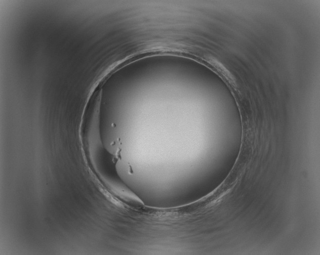 X0000073410893200608181052