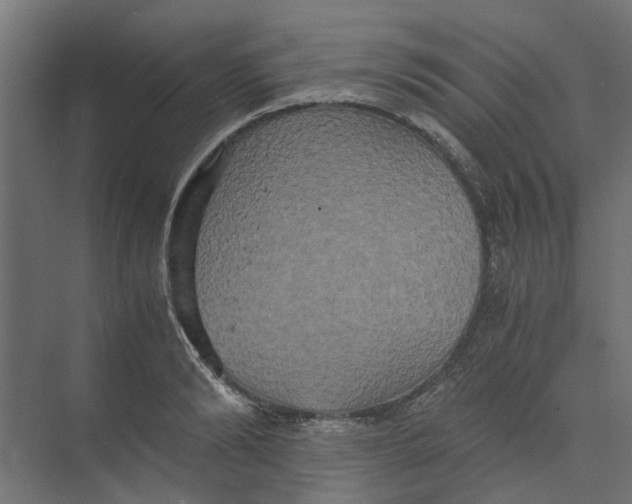 X0000073410894200608181052