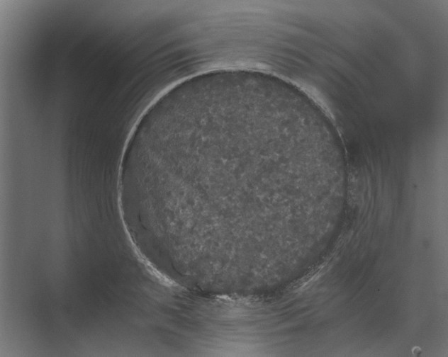 X0000073410895200608181052