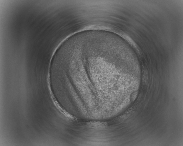 X0000073410896200608181052