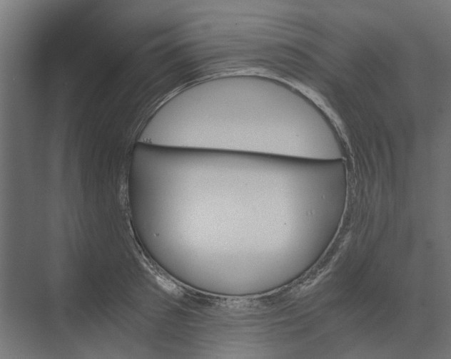 X0000073410897200608181052