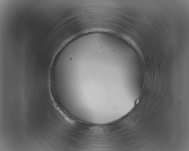 X0000073410898200608181052