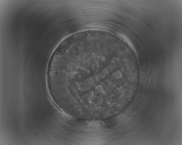 X0000073410899200608181052