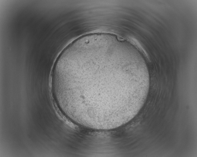 X0000073410900200608181052