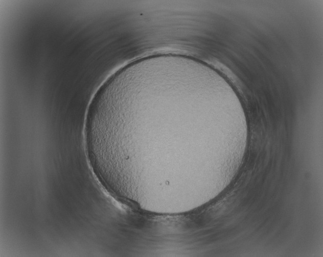 X0000073410902200608181052