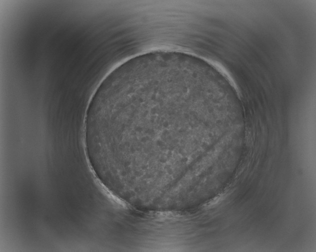 X0000073410903200608181052