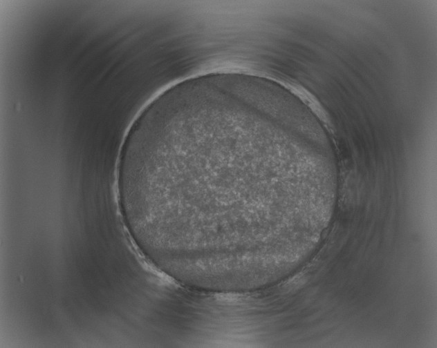 X0000073410904200608181052