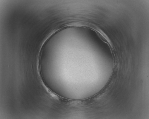 X0000073410909200608181052