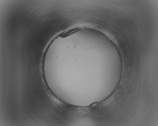 X0000073410912200608181052