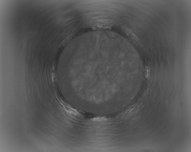 X0000073410915200608181051