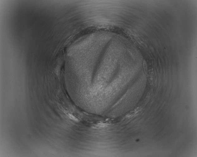 X0000073410916200608181051