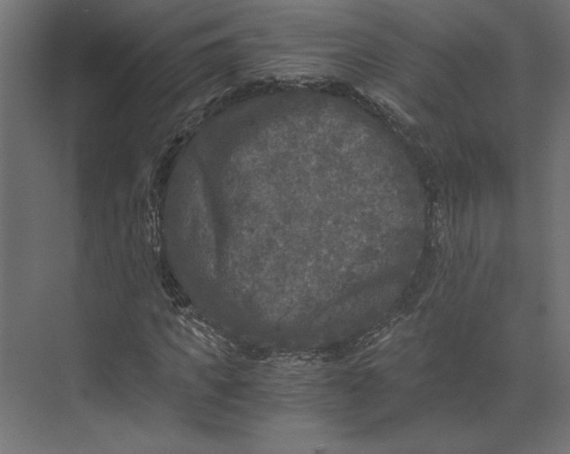 X0000073410917200608181051