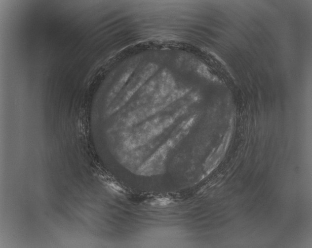 X0000073410919200608181051