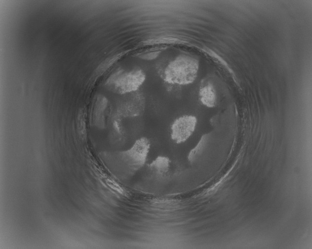 X0000073410921200608181051