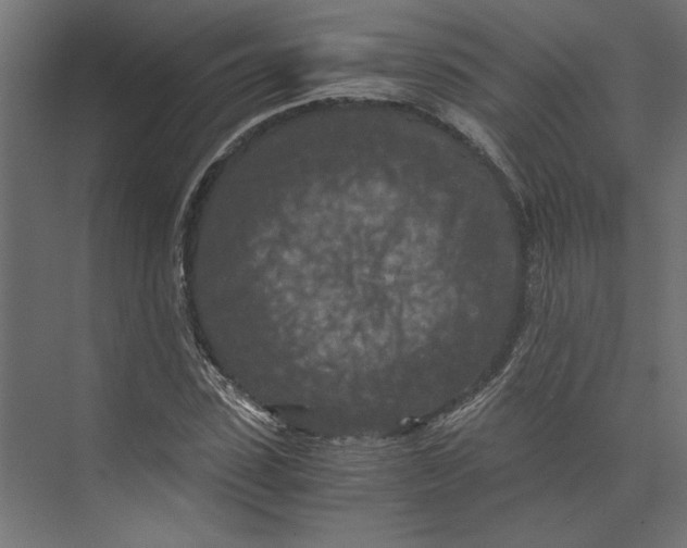 X0000073410923200608181051