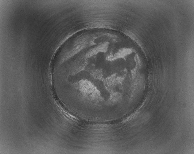 X0000073410925200608181051