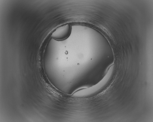 X0000073410926200608181051