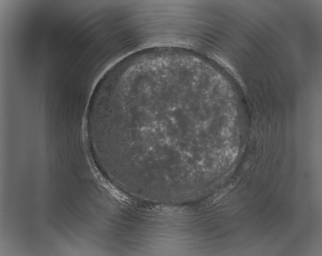 X0000073410928200608181051