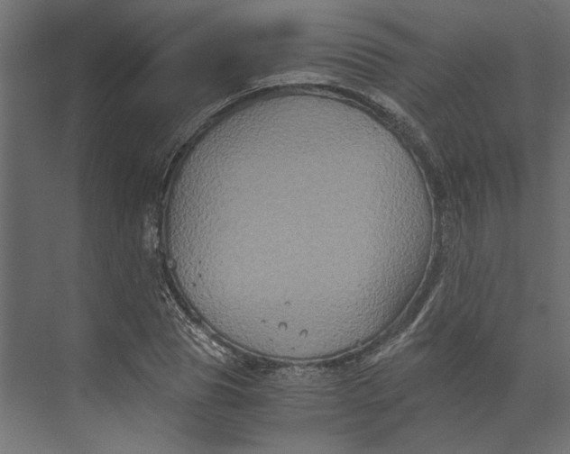 X0000073410929200608181051