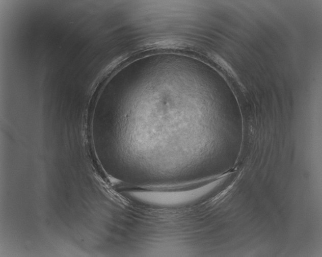 X0000073410930200608181051