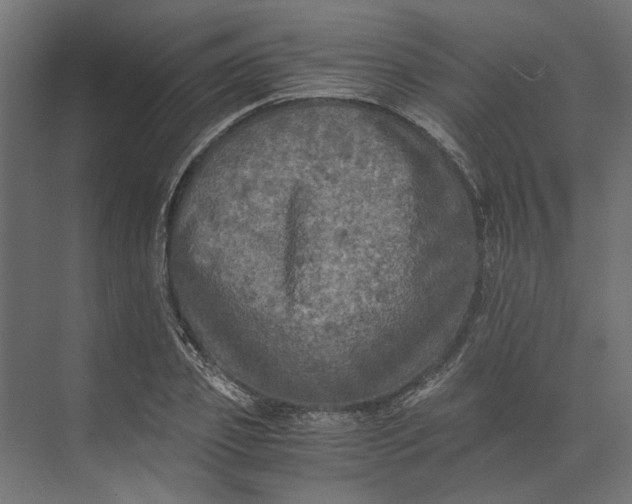 X0000073410933200608181051