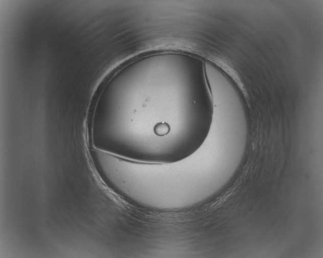 X0000073410936200608181051