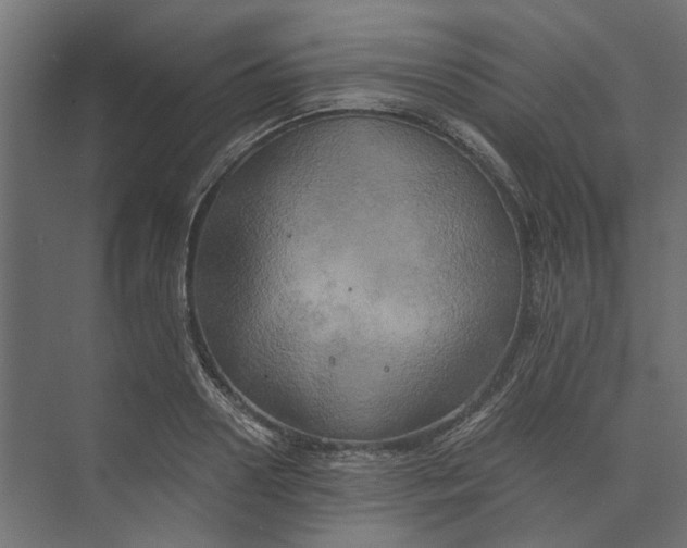 X0000073410938200608181051