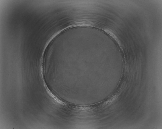 X0000073410941200608181051