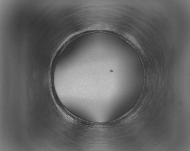 X0000073410942200608181051