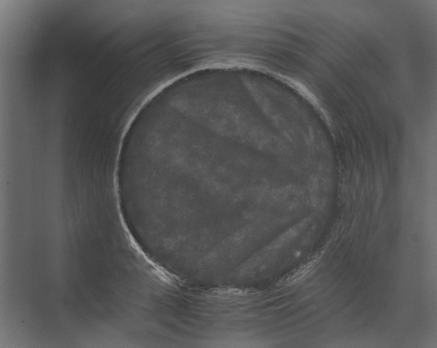 X0000073410943200608181051