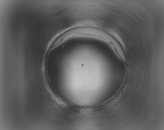 X0000073410944200608181051