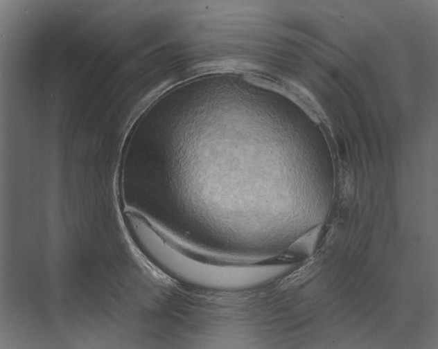 X0000073410946200608181051