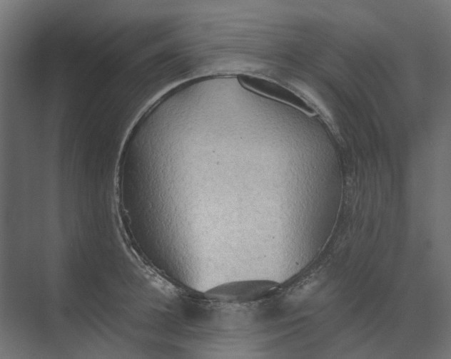 X0000073410948200608181052