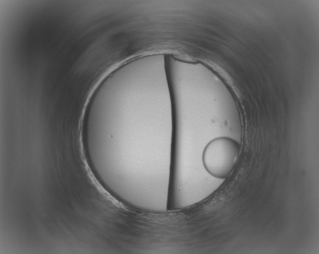 X0000073410949200608181052