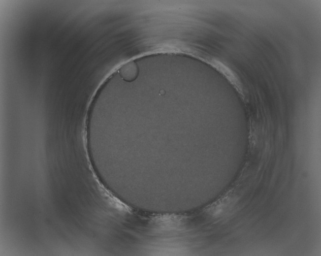 X0000073410950200608181052