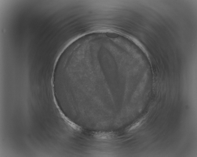 X0000073410951200608181052