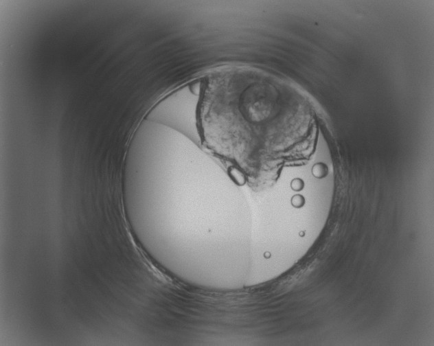 X0000073410953200608181052