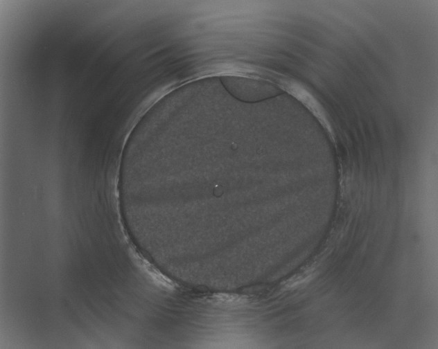 X0000073410954200608181052