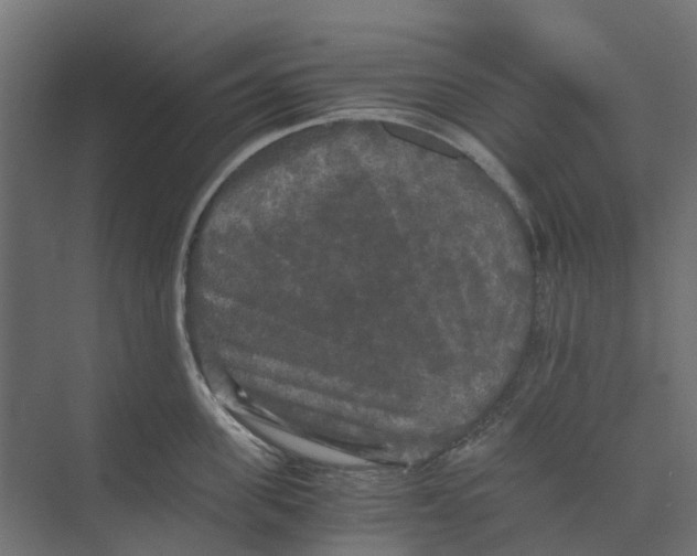 X0000073410955200608181052