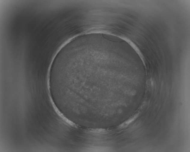 X0000073410957200608181052