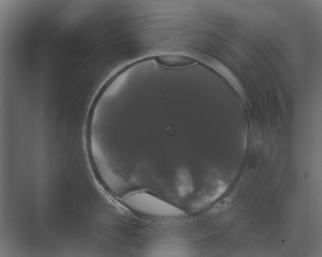 X0000073410958200608181052