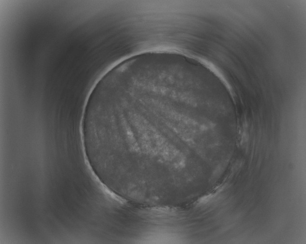 X0000073410959200608181052