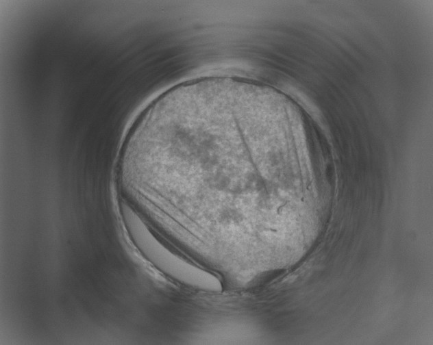 X0000073410960200608181052