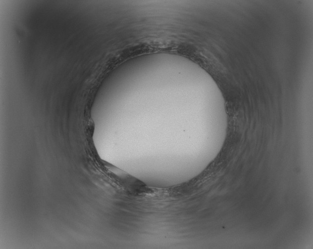 X0000073410961200608181051