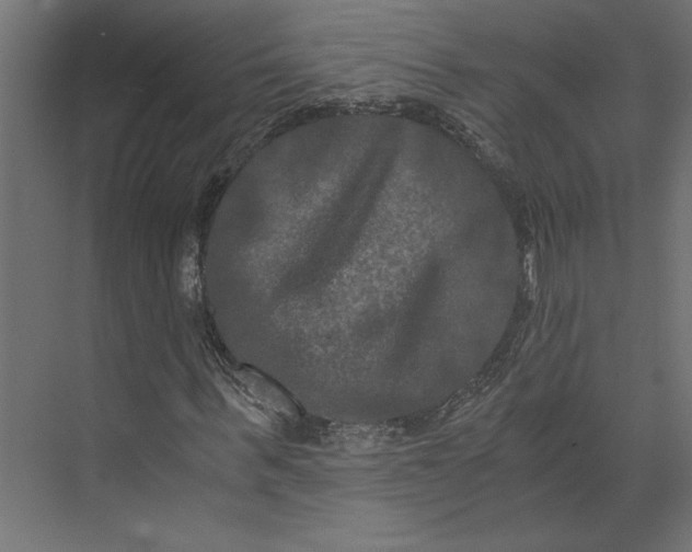 X0000073410963200608181051