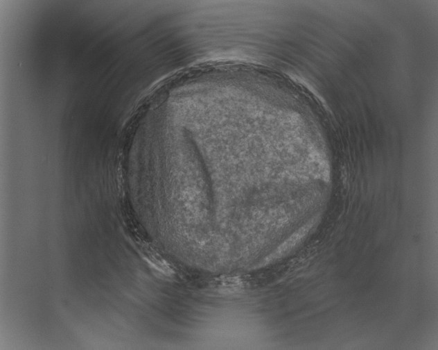 X0000073410968200608181051