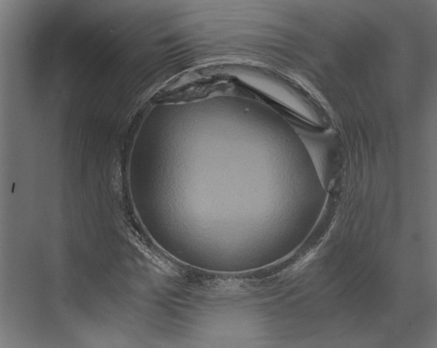 X0000073410969200608181051