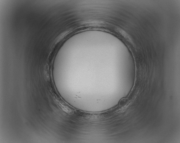 X0000073410970200608181051