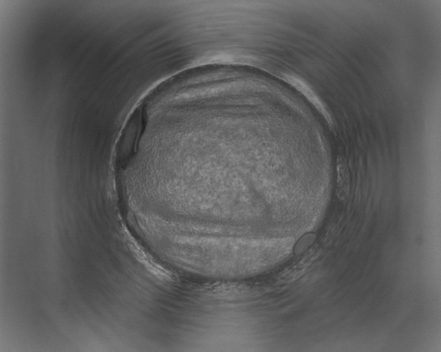 X0000073410972200608181051